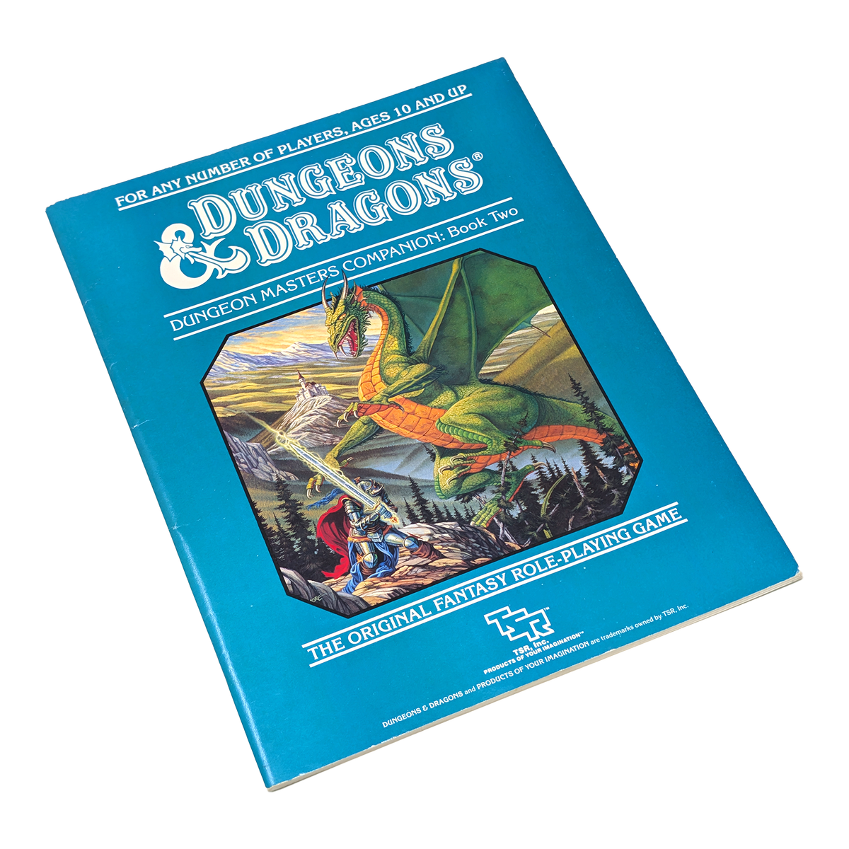 Dungeons & Dragons Dungeon Masters Companion: Book Two tabletop gaming book with a bright blue cover and fantasy dragon artwork, photographed on a plain white background.