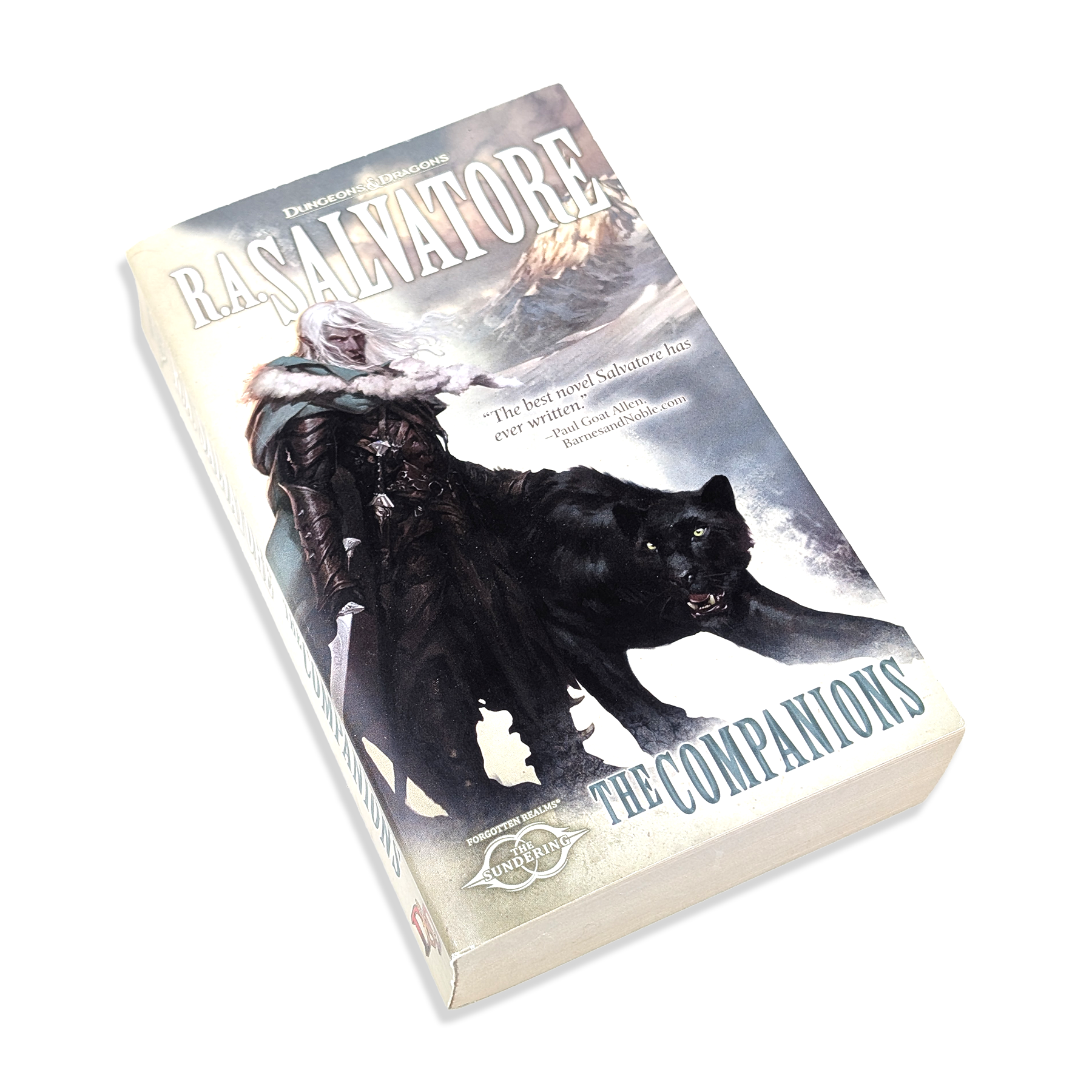 Book titled 'The Companions' by R.A. Salvatore with a cover featuring a person and a wolf.