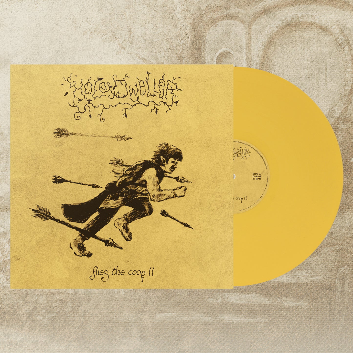 Hole Dweller "flies the coop II" LP *PRE-ORDER*