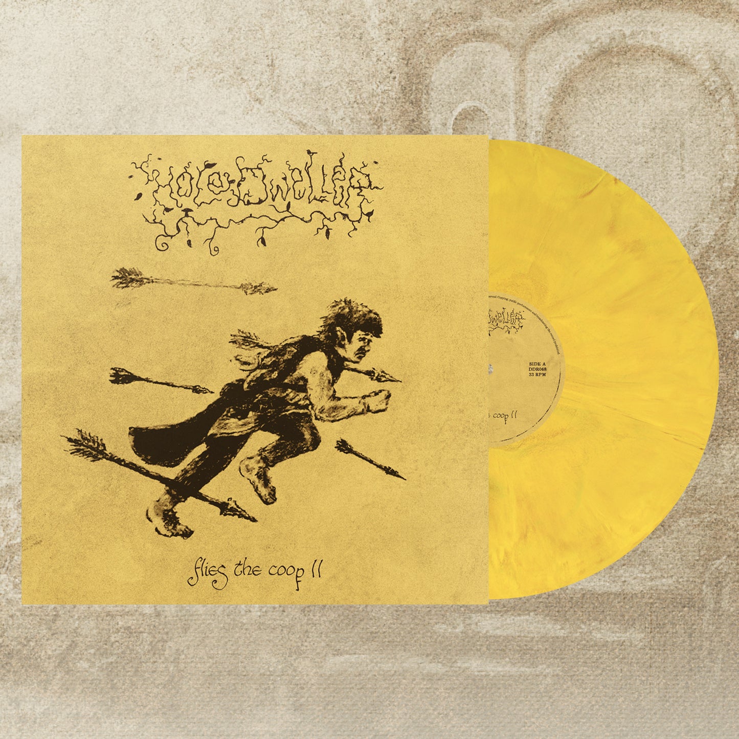 Hole Dweller "flies the coop II" LP *PRE-ORDER*